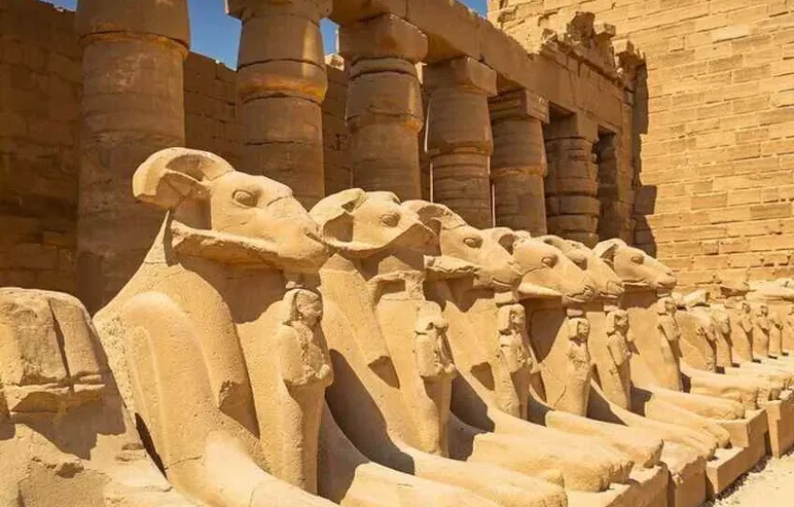 Escursione giornaliera a Luxor in aereo da Sharm El Sheikh