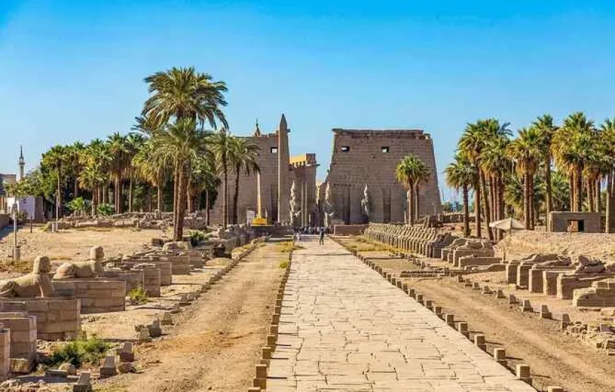 Escursione giornaliera a Luxor in aereo da Sharm El Sheikh