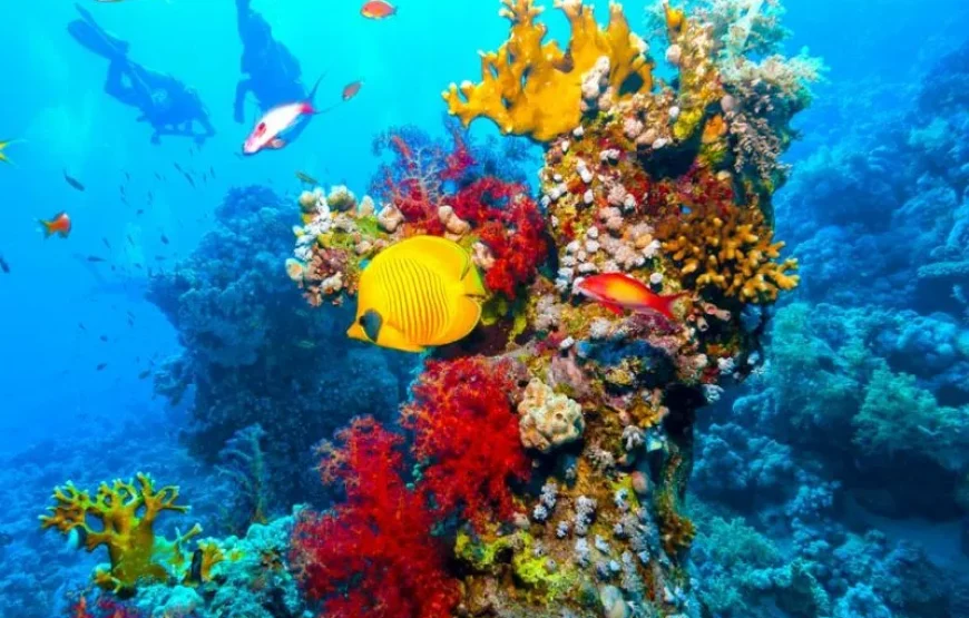 Sharm El Sheikh: crociera di lusso in yacht a Ras Mohammed e White Island