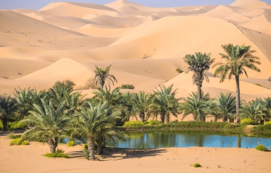 Escursione giornaliera a Luxor in aereo da Sharm El Sheikh